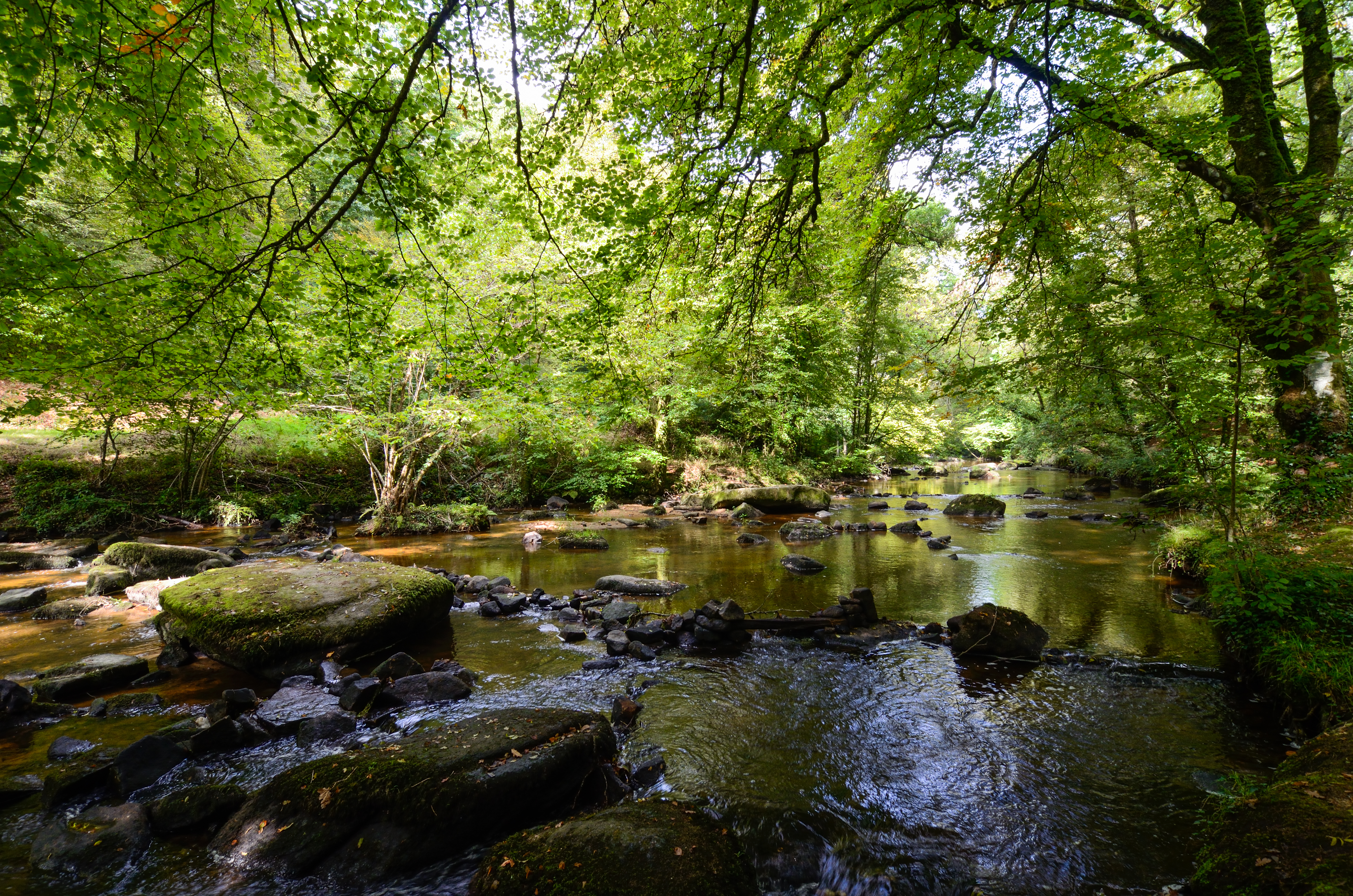 Randonnée à Pont-Calleck, Inguiniel - ©E. Lemée - LBST